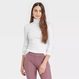 Set of 2 Wild Fable Turtlenecks